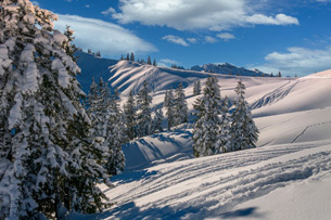 210124Nieve1