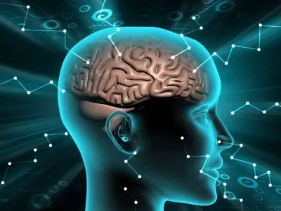
Semana Mundial del Cerebro