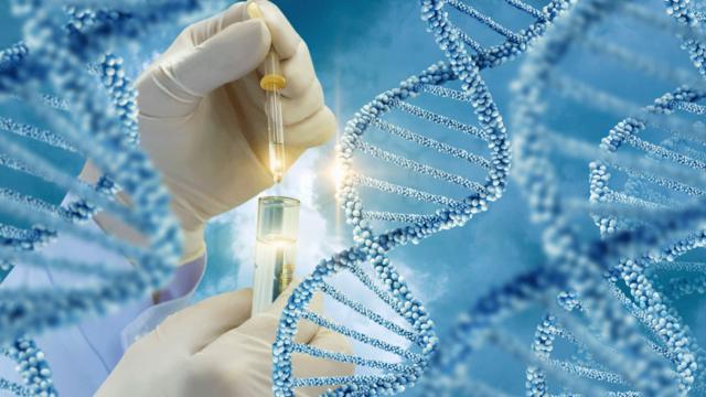 107943261 dna1.gif