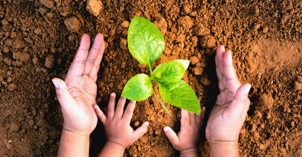 Día Internacional de la Madre Tierra