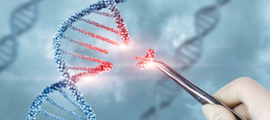 Concept of treatment and adjustment of DNA .
