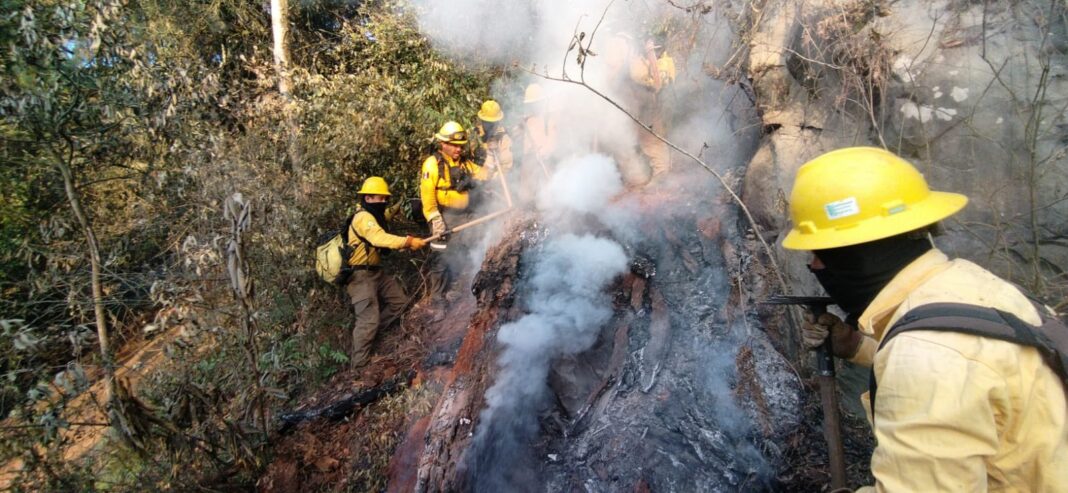 incendioamozoc