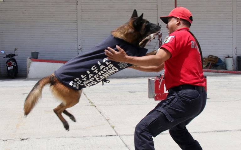 akira, la rescatistas más tierna de Puebla