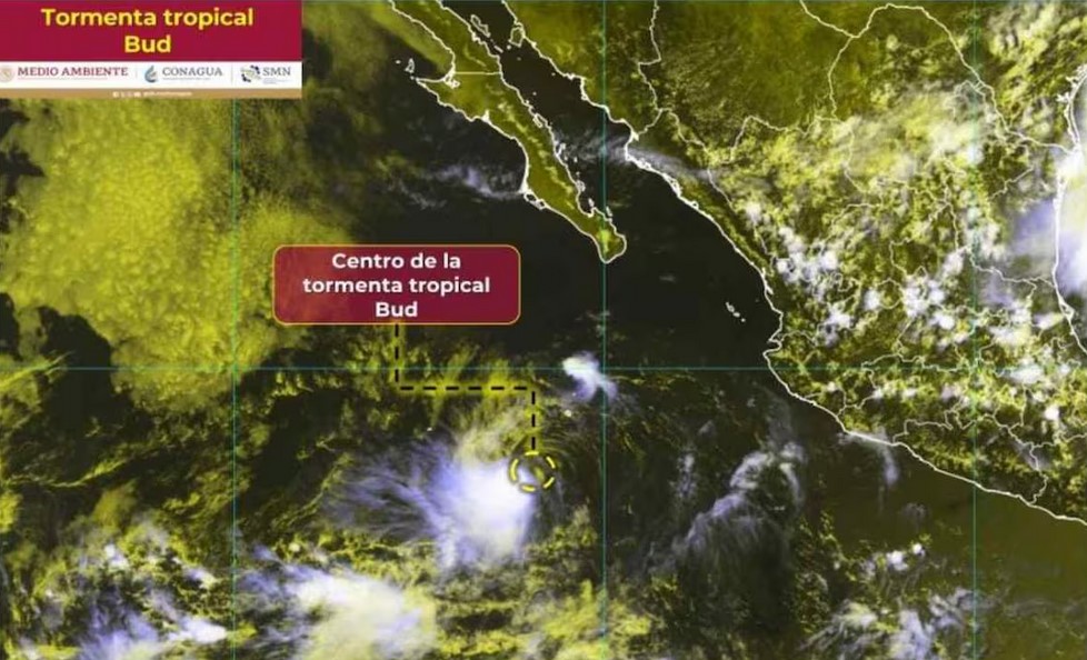 0263957a01ada7ca7171aa3a64605525
