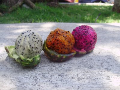 Pitaya 8