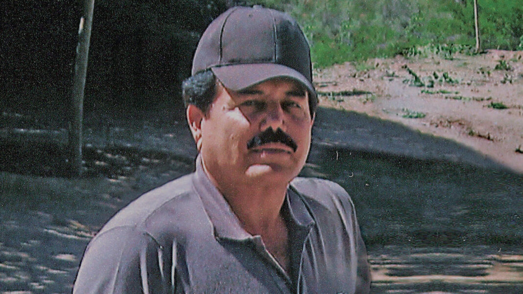 zambada