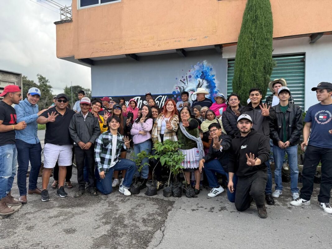 reforestacion armenta