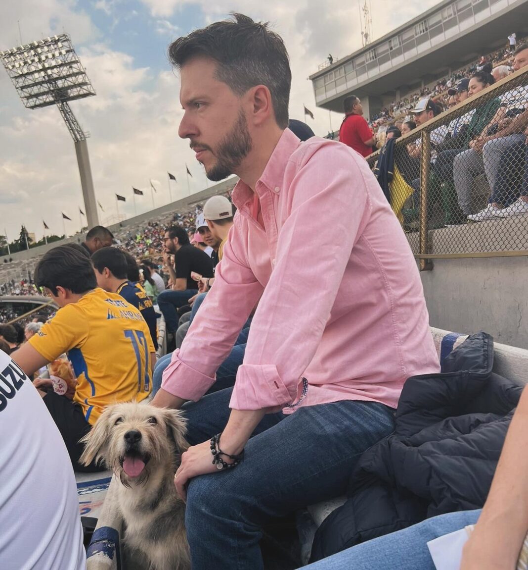 rescate de perro pumas