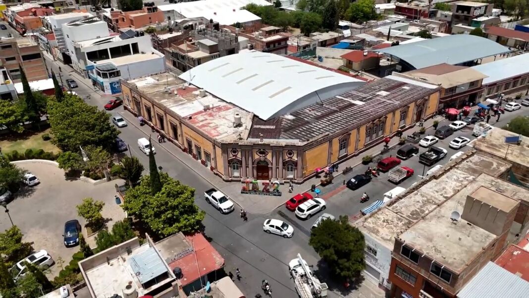 zacatecas sismo