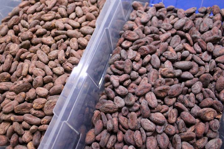 La compra del llamado oro blanco en nuestro pais ayuda tambien a mitigar los abusos ecologicos y laborales