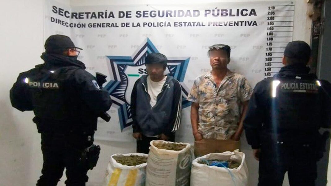 Imagen de WhatsApp 2024-12-01 a las 12.20.38_0c5c426a