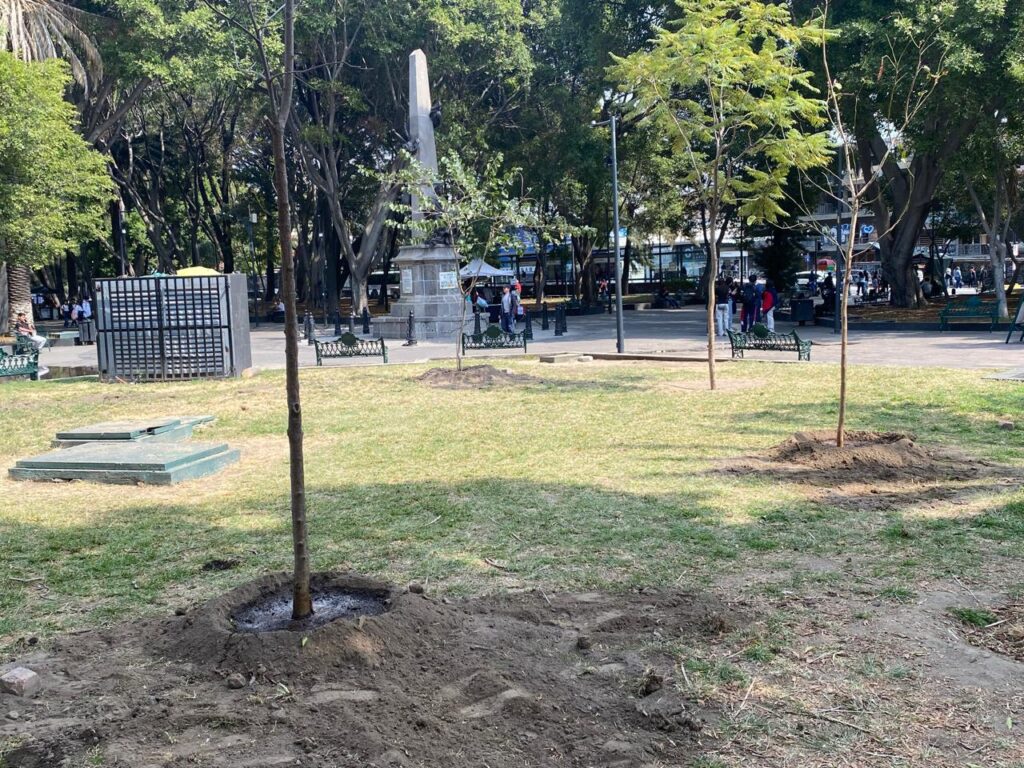 Imagen de WhatsApp 2025 01 26 a las 16.05.21 f3bcacee