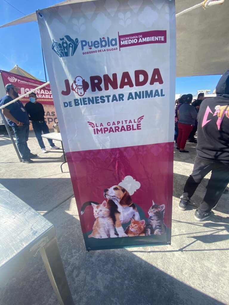 f0eedbab ce09 41bf 8ee1 561824d302a4