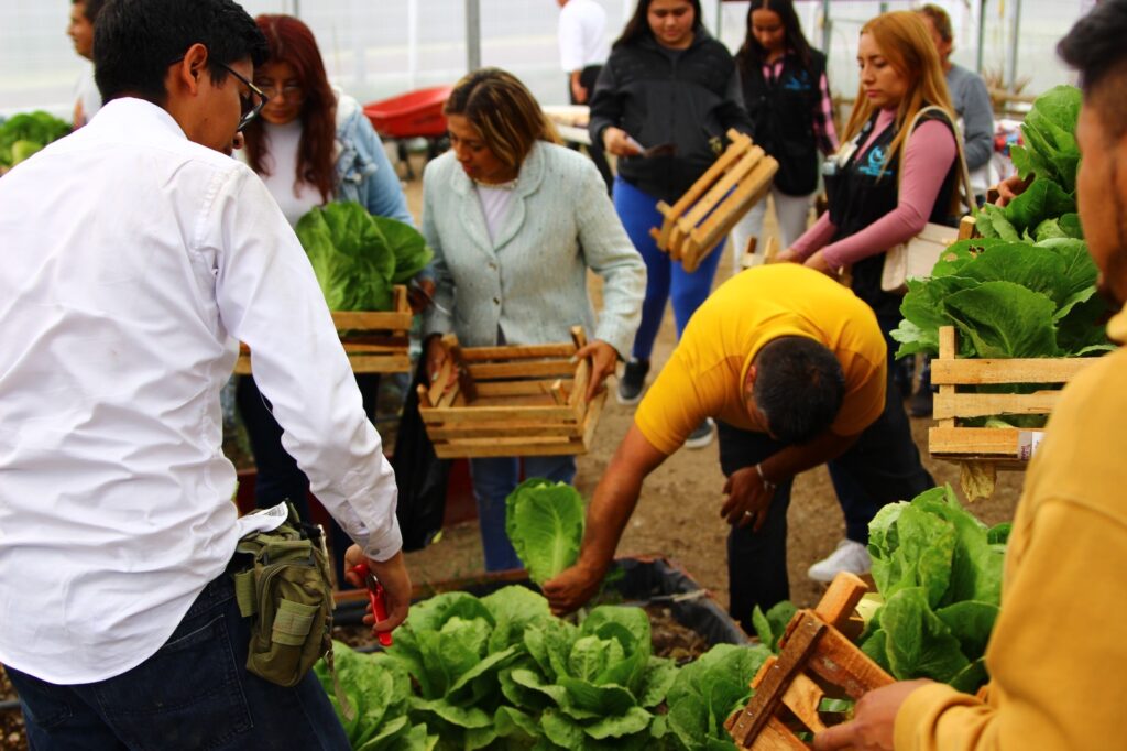 63f610dd 942d 4431 bfe0 d58dc0d5da98