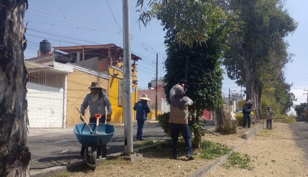 Imagen de WhatsApp 2025 03 15 a las 17.34.45 a3805947