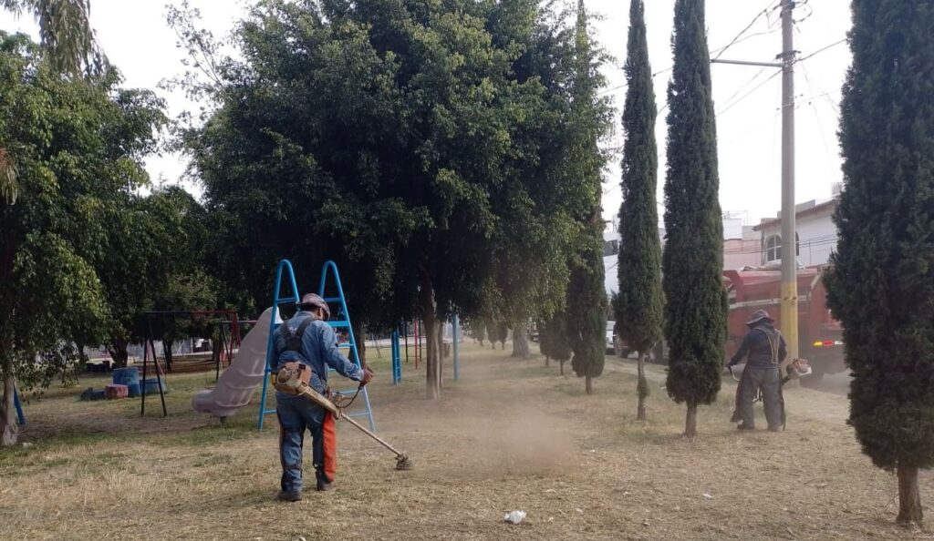 Imagen de WhatsApp 2025 03 15 a las 17.34.46 75b4550e