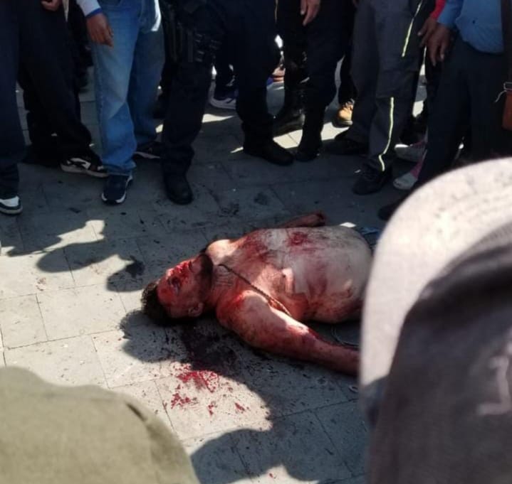 Imagen de WhatsApp 2025 04 01 a las 16.23.15 e11c3ab5