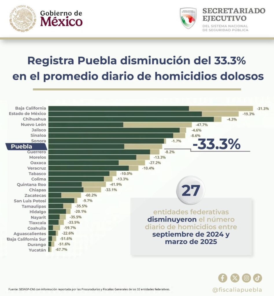 Imagen de WhatsApp 2025 04 08 a las 17.31.30 1e136a5e