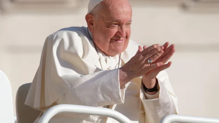 papa-768x432