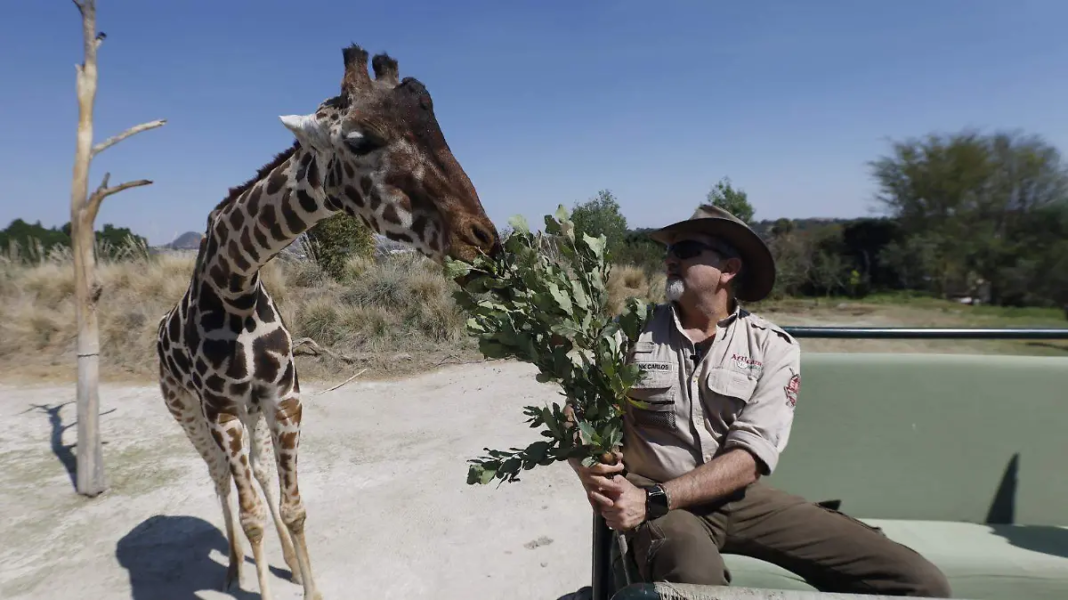 Imagen 31-01-26 a las 11.51 a.m.