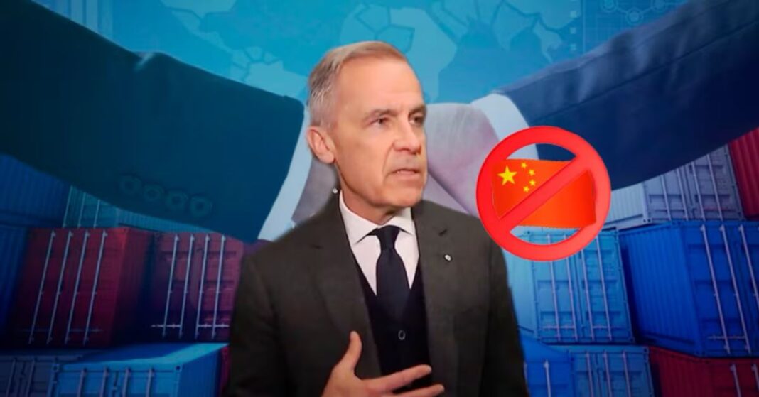 WhatsApp Image 2026-01-25 at 8.12.44 PM