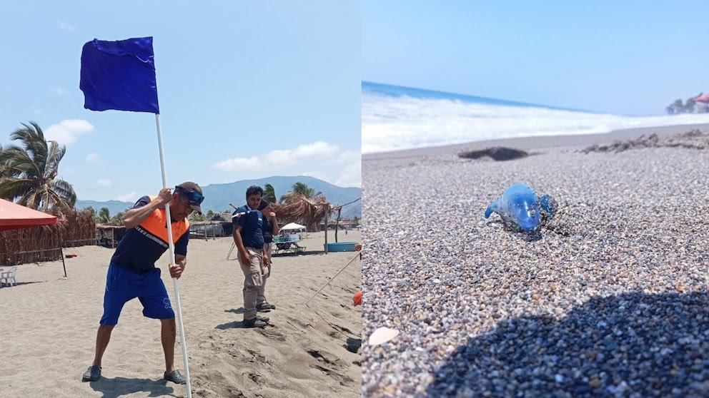 CB23GPOPSJGW5GBZGTMIYOJ47M