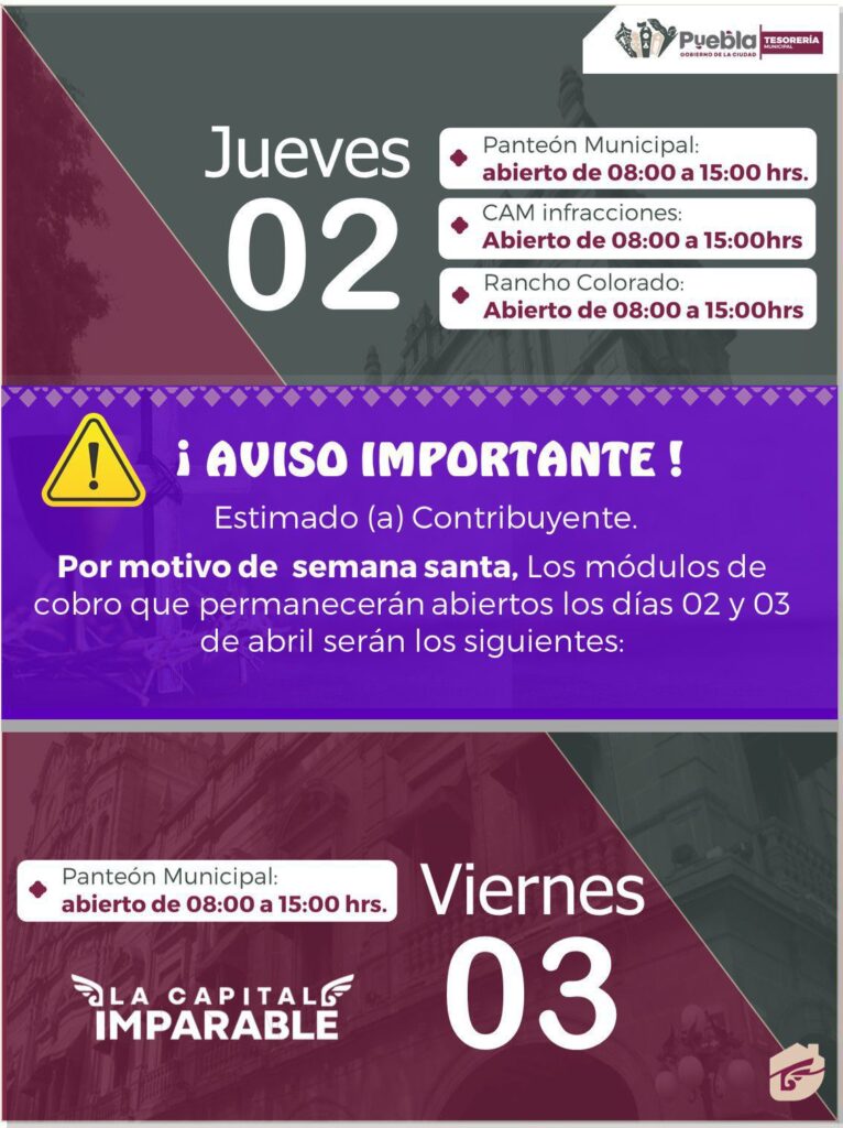 WhatsApp Image 2026 04 01 at 10.30.50 AM 1