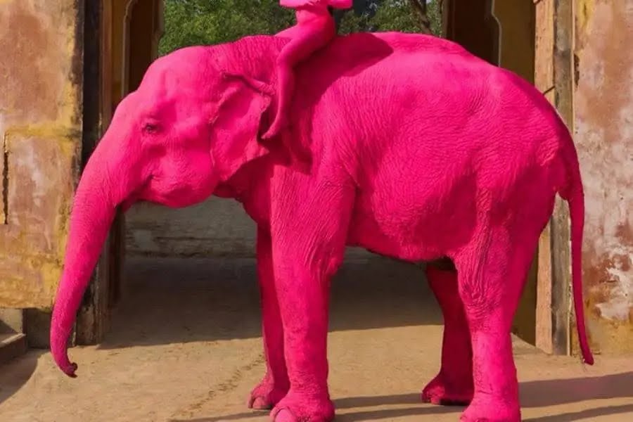 crop-w716-h477-5402640f-3fbf-451b-87fc-c9af9982ac22-b65af949-focus-0-0-1200-850