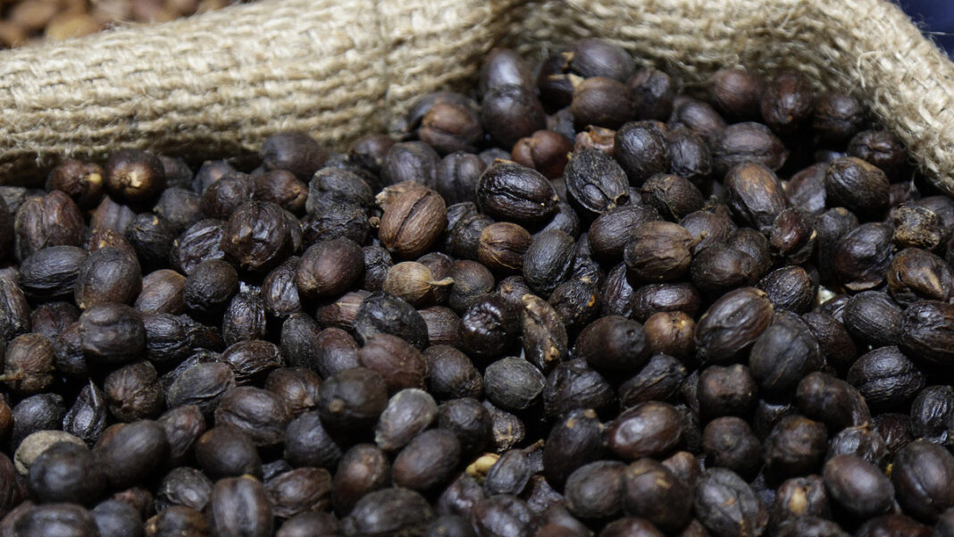 cafe_puebla