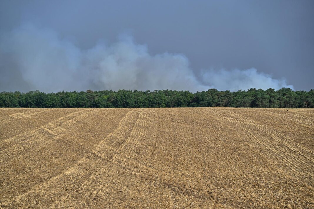 FRANCIA-INCENDIOS_14625