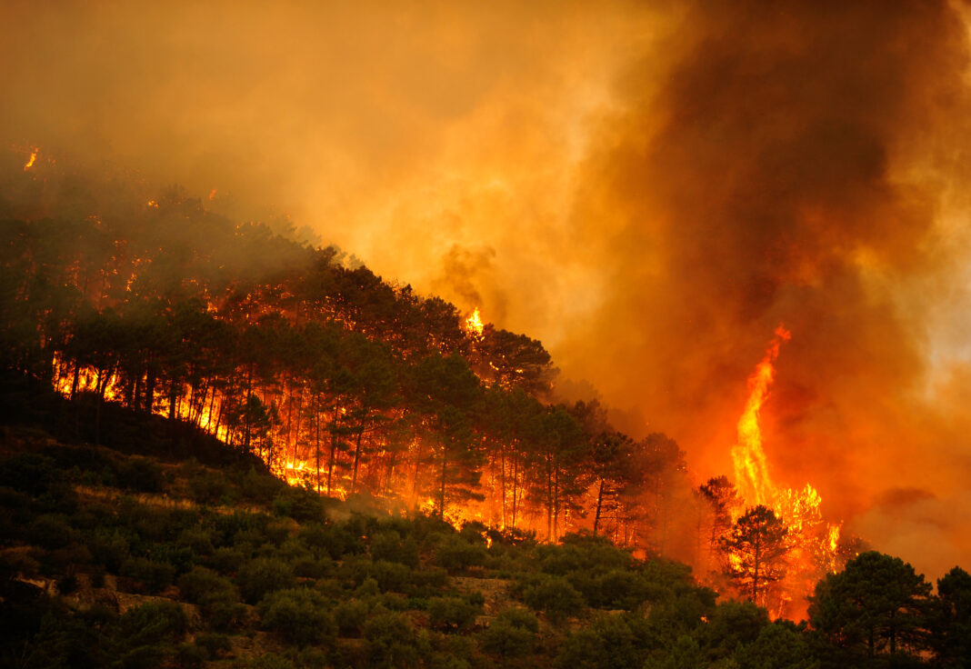 Incendios forestales en España, verano de 2009